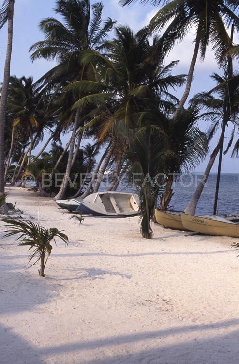 Islands;Belize;Island;blue water;boat;palm trees;blue;water